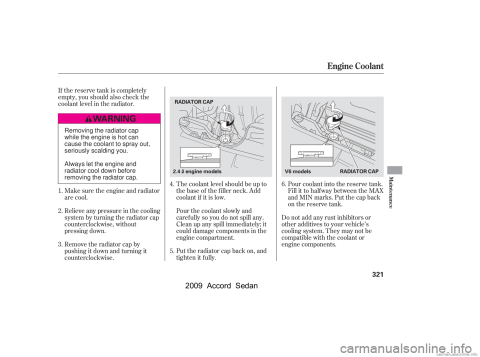HONDA ACCORD SEDAN 2009  Owners Manual (in English) The coolant level should be up to 
the base of the f iller neck. Add
coolant if it is low. 
Pourthecoolantslowlyand 
caref ully so you do not spill any.
Clean up any spill immediately; it
could damage