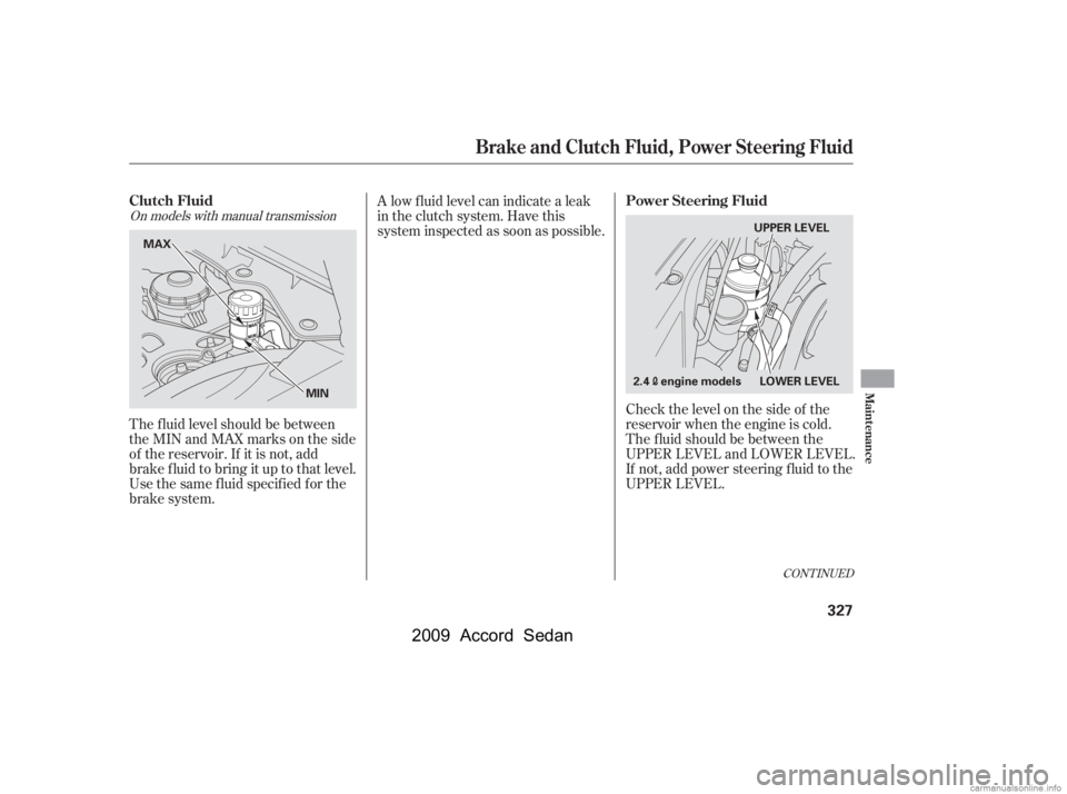 HONDA ACCORD SEDAN 2009  Owners Manual (in English) Check the level on the side of the 
reservoir when the engine is cold.
The f luid should be between the
UPPER LEVEL and LOWER LEVEL.
If not, add power steering f luid to the
UPPER LEVEL.
The f luid le