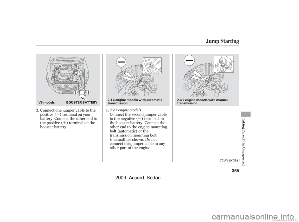 HONDA ACCORD SEDAN 2009  Owners Manual (in English) ´´ µ
CONT INUED
Connect one jumper cable to the 
positive ( ) terminal on your
battery. Connect the other end to
the positive ( ) terminal on the
booster battery.Connect the second jumper cable
