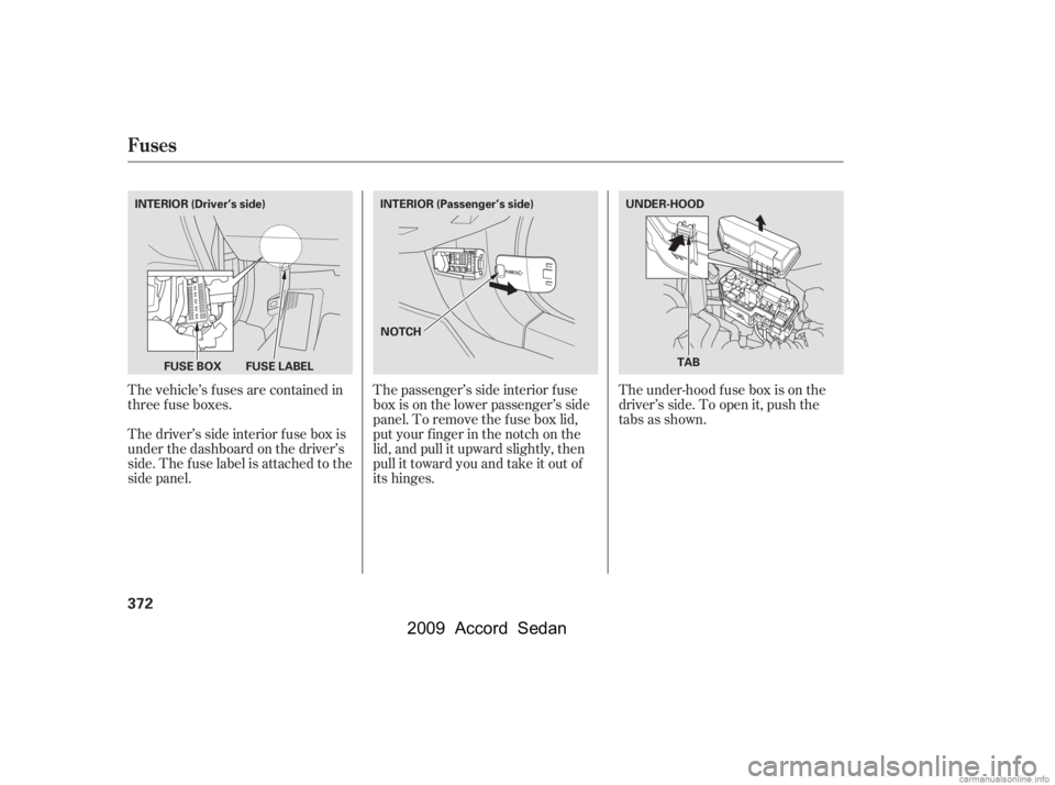 HONDA ACCORD SEDAN 2009  Owners Manual (in English) The vehicle’s f uses are contained in 
threefuseboxes. 
Thedriver’ssideinteriorfuseboxis 
under the dashboard on the driver’s
side. The fuse label is attached to the
side panel.The passenger’s