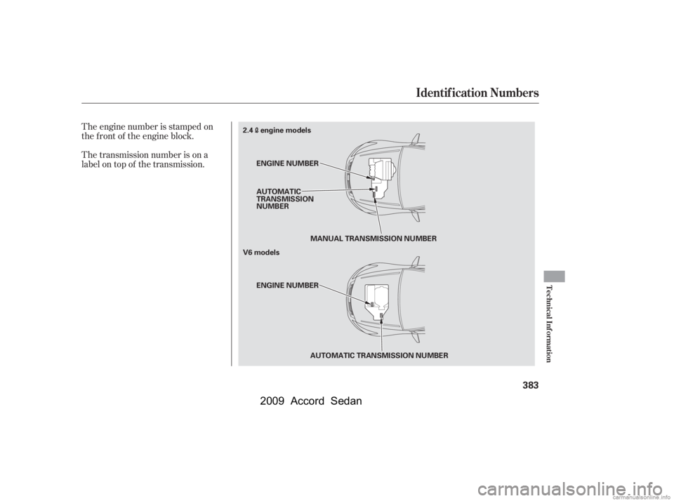 HONDA ACCORD SEDAN 2009  Owners Manual (in English) The transmission number is on a 
label on top of the transmission. 
The engine number is stamped on 
the f ront of the engine block.
Identif ication Numbers
Technical Inf ormation
383
ENGINE NUMBER
2.