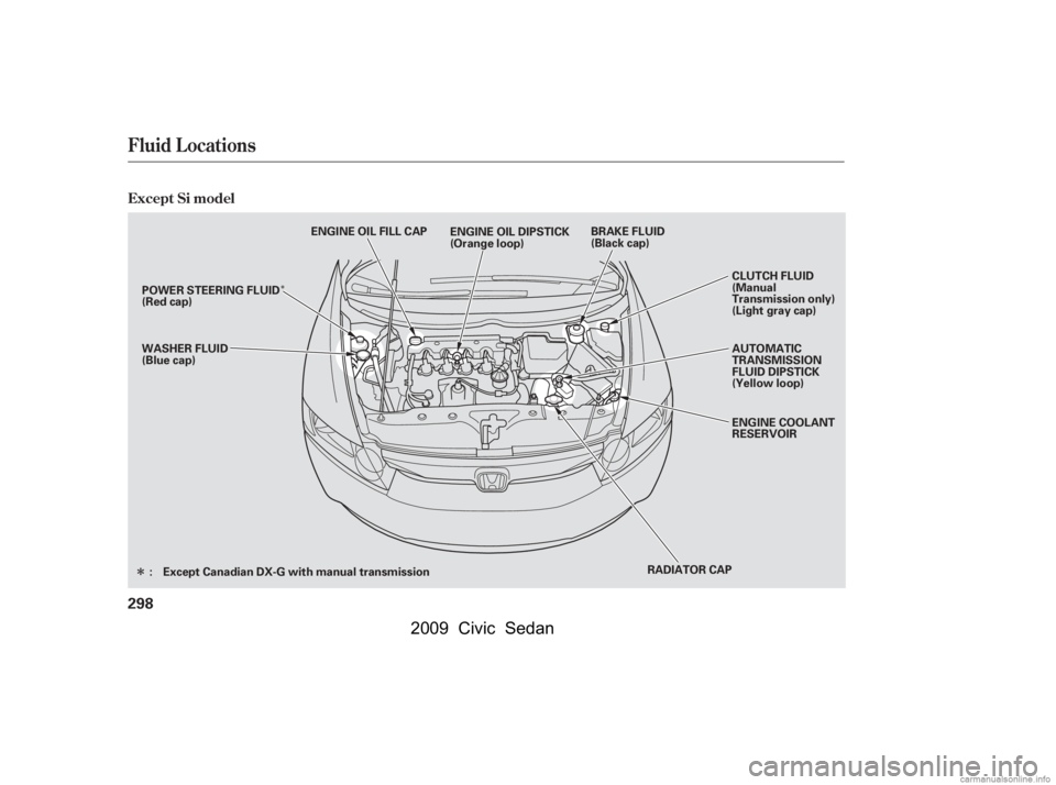 HONDA CIVIC SEDAN 2009  Owners Manual (in English) Î
Î
Fluid Locations
Except Si model
298
RADIATOR CAPAUTOMATIC 
TRANSMISSION
FLUID DIPSTICK
(Yellow loop) 
ENGINE COOLANT 
RESERVOIR 
CLUTCH FLUID 
(Manual
Transmission only)
(Light gray cap)
WASHE