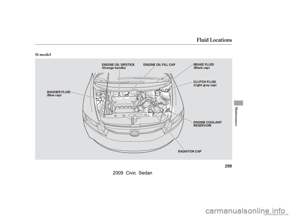 HONDA CIVIC SEDAN 2009  Owners Manual (in English) Fluid Locations
Maint enance
Si model
299
RADIATOR CAP
WASHER FLUID 
(Blue cap)
ENGINE COOLANT
RESERVOIR 
CLUTCH FLUID 
(Light gray cap)
ENGINE OIL DIPSTICK
(Orange handle)
BRAKE FLUID
(Black cap)
ENG