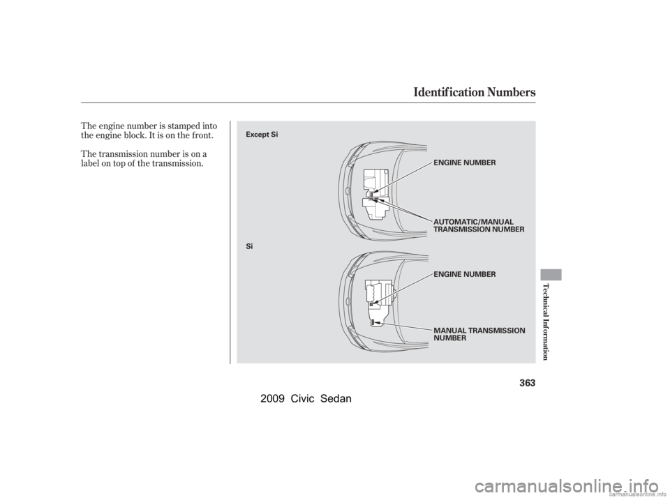 HONDA CIVIC SEDAN 2009  Owners Manual (in English) The engine number is stamped into 
the engine block. It is on the f ront. 
The transmission number is on a 
label on top of the transmission.
Identif ication Numbers
Technical Inf ormation
363
MANUAL 