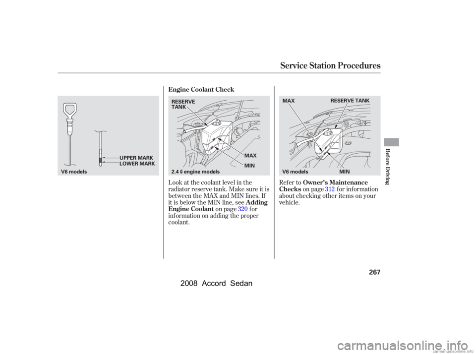 HONDA ACCORD SEDAN 2008   (in English) User Guide Look at the coolant level in the 
radiator reserve tank. Make sure it is
between the MAX and MIN lines. If 
it is below the MIN line, seeon page f or
inf ormation on adding the proper 
coolant. Refer 