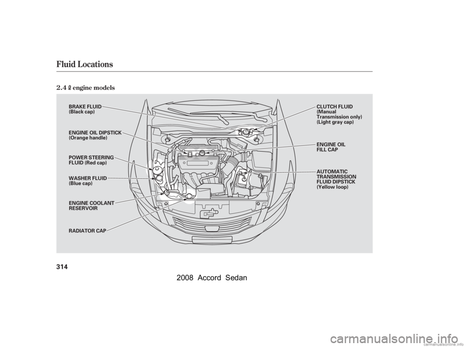 HONDA ACCORD SEDAN 2008  Owners Manual (in English) Fluid Locations
2.4engine models
314
ENGINE OIL 
FILL CAP 
CLUTCH FLUID 
(Manual
Transmission only)
(Light gray cap)
BRAKE FLUID
(Black cap) 
RADIATOR CAP 
ENGINE OIL DIPSTICK 
(Orange handle) 
POWER 