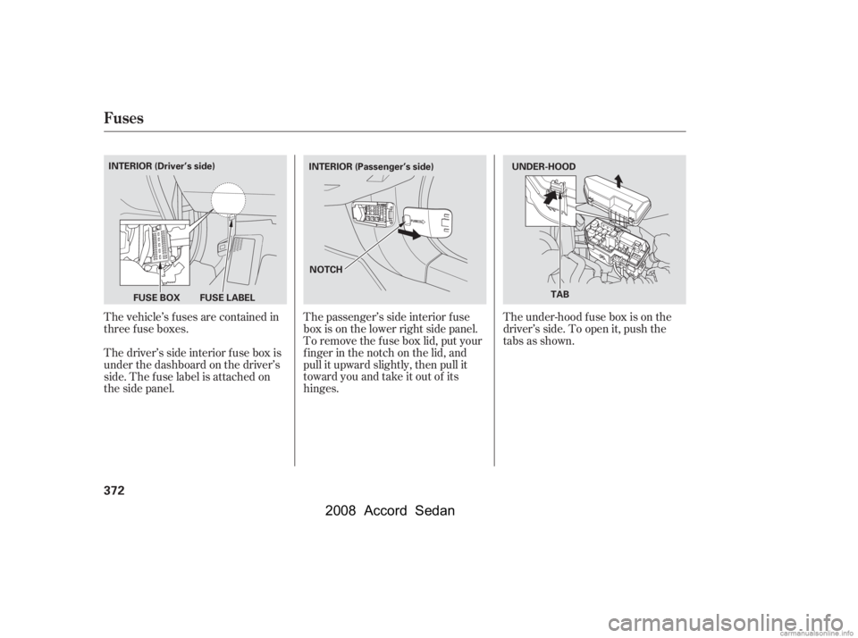 HONDA ACCORD SEDAN 2008  Owners Manual (in English) The vehicle’s f uses are contained in 
threefuseboxes. 
Thedriver’ssideinteriorfuseboxis 
under the dashboard on the driver’s
side. The f use label is attached on
thesidepanel.The passenger’s 