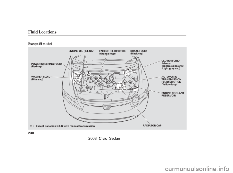 HONDA CIVIC SEDAN 2008  Owners Manual (in English) 
Î
Î
Fluid Locations
Except Si model
230
RADIATOR CAPAUTOMATIC
TRANSMISSION
FLUID DIPSTICK
(Yellow loop)
ENGINE COOLANT
RESERVOIR CLUTCH FLUID
(Manual
Transmission only)
(Light gray cap)
WASHER FL