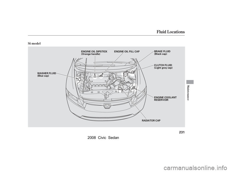 HONDA CIVIC SEDAN 2008  Owners Manual (in English) 
Fluid Locations
Maint enance
Si model
231
RADIATOR CAP
WASHER FLUID
(Blue cap)
ENGINE COOLANT
RESERVOIR CLUTCH FLUID
(Light gray cap)
ENGINE OIL DIPSTICK
(Orange handle)
BRAKE FLUID
(Black cap)
ENGIN