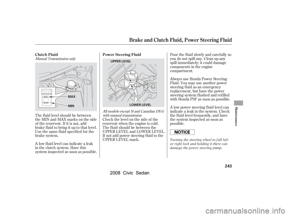 HONDA CIVIC SEDAN 2008 Owners Manual (in English)
Manual Transmission onlyAll models except Si and Canadian DX-Gwith manual transmission
The f luid level should be between
theMINandMAXmarksontheside
of the reservoir. If it is not, add
brake f luid t HONDA CIVIC SEDAN 2008 Owners Manual (in English)
Manual Transmission onlyAll models except Si and Canadian DX-Gwith manual transmission
The f luid level should be between
theMINandMAXmarksontheside
of the reservoir. If it is not, add
brake f luid t