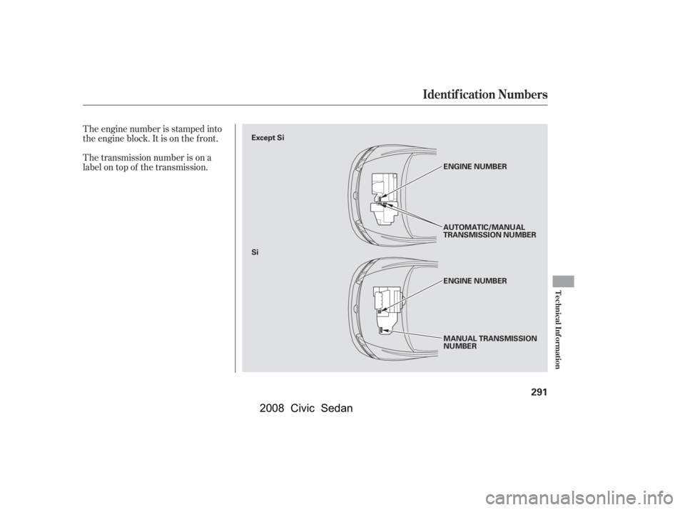 HONDA CIVIC SEDAN 2008  Owners Manual (in English) 
The engine number is stamped into
the engine block. It is on the f ront.
The transmission number is on a
label on top of the transmission.
Identif ication Numbers
Technical Inf ormation
291
MANUAL TR