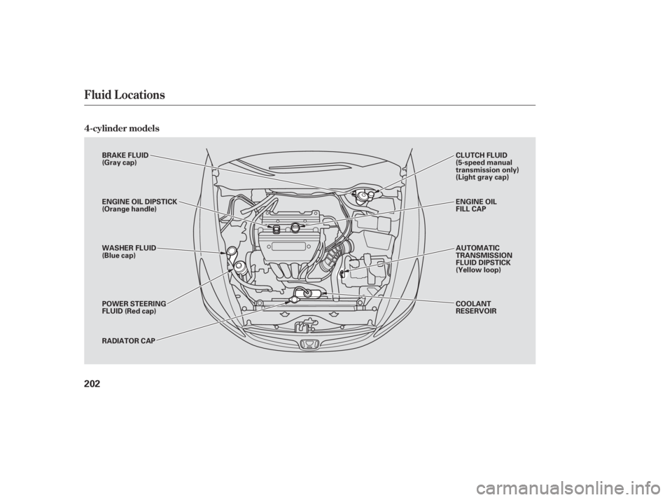 HONDA ACCORD SEDAN 2007 Owners Manual (in English) 4-cylinder models
Fluid Locations
202
BRAKE FLUID
(Gray cap)
ENGINE OIL DIPSTICK
(Orange handle)
WASHER FLUID
(Blue cap)
POWER STEERING
FLUID (Red cap)
RADIATOR CAPCLUTCH FLUID
(5-speed manual
transmi HONDA ACCORD SEDAN 2007 Owners Manual (in English) 4-cylinder models
Fluid Locations
202
BRAKE FLUID
(Gray cap)
ENGINE OIL DIPSTICK
(Orange handle)
WASHER FLUID
(Blue cap)
POWER STEERING
FLUID (Red cap)
RADIATOR CAPCLUTCH FLUID
(5-speed manual
transmi