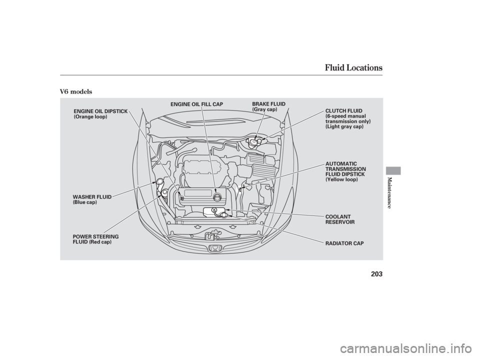 HONDA ACCORD SEDAN 2007 Owners Manual (in English) V6 models
Fluid Locations
Maint enance
203
ENGINE OIL FILL CAPAUTOMATIC
TRANSMISSION
FLUID DIPSTICK
(Yellow loop)
COOLANT
RESERVOIR
RADIATOR CAP
POWER STEERING
FLUID (Red cap) WASHER FLUID
(Blue cap) HONDA ACCORD SEDAN 2007 Owners Manual (in English) V6 models
Fluid Locations
Maint enance
203
ENGINE OIL FILL CAPAUTOMATIC
TRANSMISSION
FLUID DIPSTICK
(Yellow loop)
COOLANT
RESERVOIR
RADIATOR CAP
POWER STEERING
FLUID (Red cap) WASHER FLUID
(Blue cap)