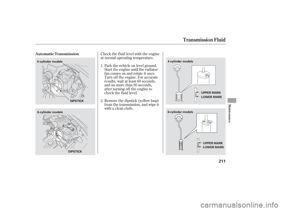 HONDA ACCORD SEDAN 2007  Owners Manual (in English) Check the f luid level with the engine
at normal operating temperature.Remove the dipstick (yellow loop)
f rom the transmission, and wipe it
with a clean cloth. Park the vehicle on level ground.
Start