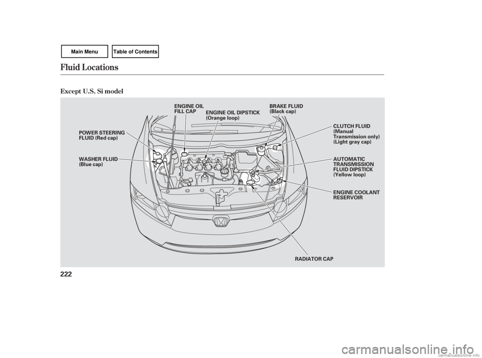 HONDA CIVIC SEDAN 2007  Owners Manual (in English) Fluid Locations
Except U.S. Si model
222
RADIATOR CAP
ENGINE OIL DIPSTICK
(Orange loop)
ENGINE OIL
FILL CAP
WASHER FLUID
(Blue cap) POWER STEERING
FLUID (Red cap) AUTOMATIC
TRANSMISSION
FLUID DIPSTICK