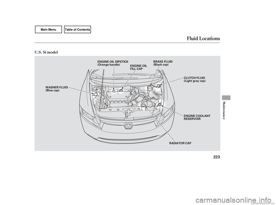 HONDA CIVIC SEDAN 2007  Owners Manual (in English) Fluid Locations
Maint enance
U.S. Si model
223
RADIATOR CAP
ENGINE OIL
FILL CAP
WASHER FLUID
(Blue cap)
ENGINE COOLANT
RESERVOIR
BRAKE FLUID
(Black cap)
ENGINE OIL DIPSTICK
(Orange handle)
CLUTCH FLUI