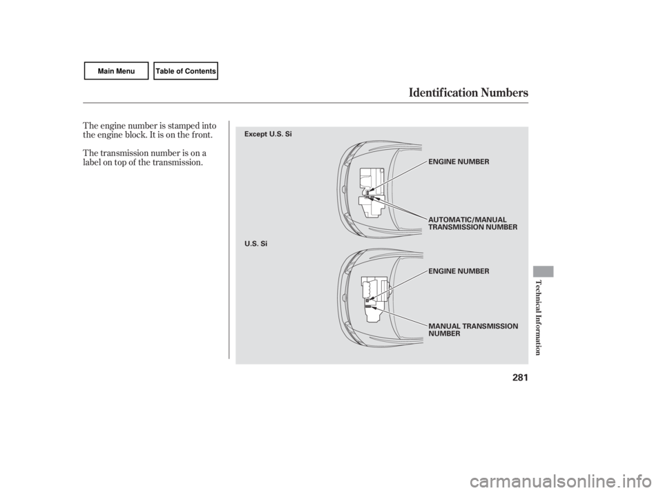 HONDA CIVIC SEDAN 2007  Owners Manual (in English) The engine number is stamped into
the engine block. It is on the f ront.
The transmission number is on a
label on top of the transmission.
Identif ication Numbers
Technical Inf ormation
281
MANUAL TRA