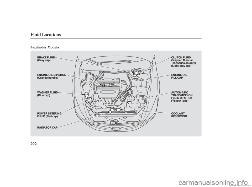 HONDA ACCORD SEDAN 2006 Owners Manual (in English) 4-cylinder Models
Fluid Locations
202
BRAKE FLUID
(Gray cap)
ENGINE OIL DIPSTICK
(Orange handle)
WASHER FLUID
(Blue cap)
POWER STEERING
FLUID (Red cap)
RADIATOR CAPCLUTCH FLUID
(5-speed Manual
Transmi HONDA ACCORD SEDAN 2006 Owners Manual (in English) 4-cylinder Models
Fluid Locations
202
BRAKE FLUID
(Gray cap)
ENGINE OIL DIPSTICK
(Orange handle)
WASHER FLUID
(Blue cap)
POWER STEERING
FLUID (Red cap)
RADIATOR CAPCLUTCH FLUID
(5-speed Manual
Transmi