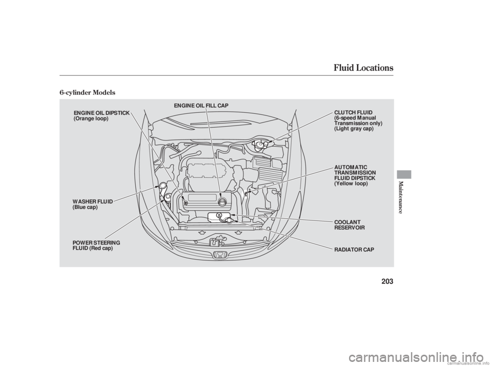 HONDA ACCORD SEDAN 2006 Owners Manual (in English) 6-cylinder Models
Fluid Locations
Maint enance
203
ENGINE OIL FILL CAPAUTOMATIC
TRANSMISSION
FLUID DIPSTICK
(Yellow loop)
COOLANT
RESERVOIR
RADIATOR CAP
POWER STEERING
FLUID (Red cap) WASHER FLUID
(Bl HONDA ACCORD SEDAN 2006 Owners Manual (in English) 6-cylinder Models
Fluid Locations
Maint enance
203
ENGINE OIL FILL CAPAUTOMATIC
TRANSMISSION
FLUID DIPSTICK
(Yellow loop)
COOLANT
RESERVOIR
RADIATOR CAP
POWER STEERING
FLUID (Red cap) WASHER FLUID
(Bl