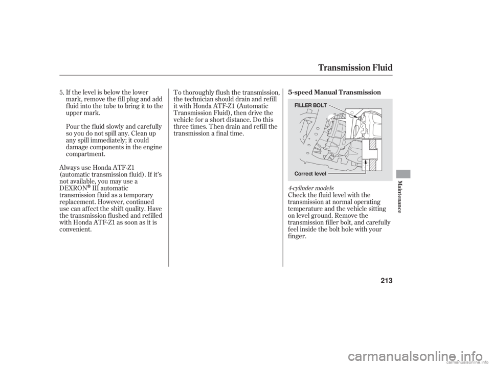 HONDA ACCORD SEDAN 2006  Owners Manual (in English) If the level is below the lower
mark, remove the f ill plug and add
f luid into the tube to bring it to the
upper mark.
Pour the f luid slowly and caref ully
so you do not spill any. Clean up
any spil