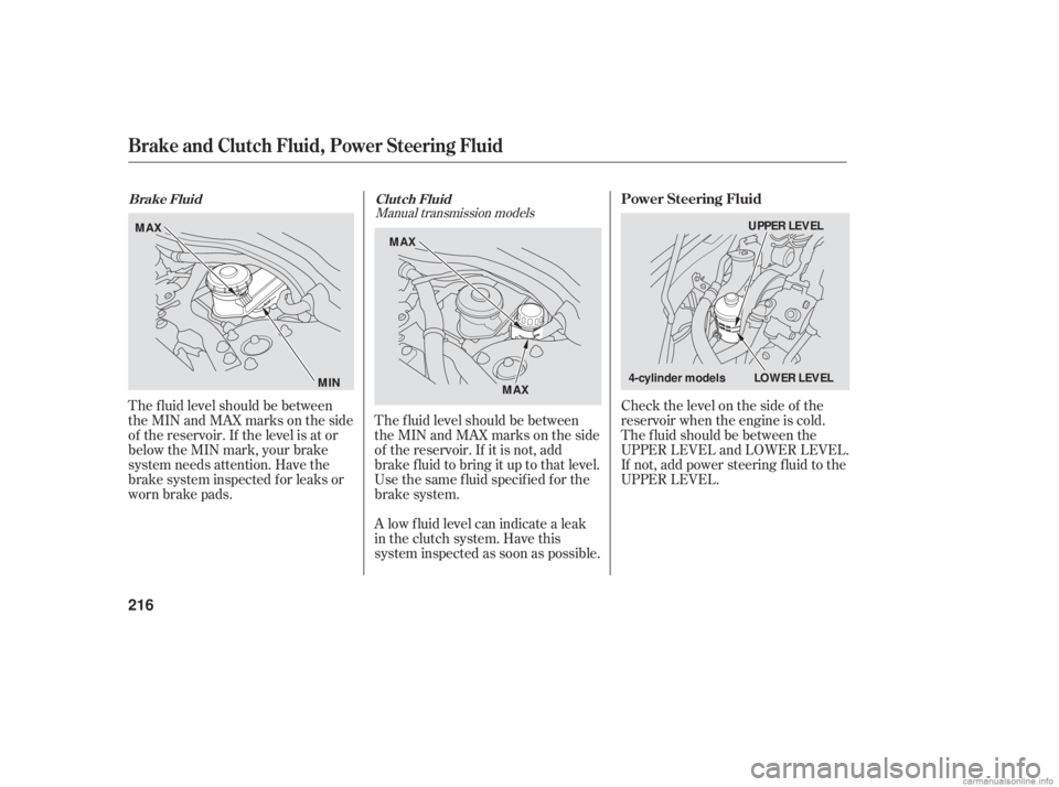 HONDA ACCORD SEDAN 2006 (in English) Owners Guide The f luid level should be between
theMINandMAXmarksontheside
of the reservoir. If the level is at or
below the MIN mark, your brake
system needs attention. Have the
brake system inspected f or leaks HONDA ACCORD SEDAN 2006 (in English) Owners Guide The f luid level should be between
theMINandMAXmarksontheside
of the reservoir. If the level is at or
below the MIN mark, your brake
system needs attention. Have the
brake system inspected f or leaks
