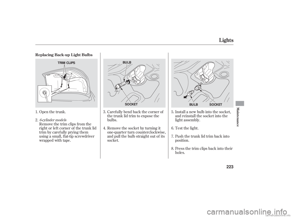 HONDA ACCORD SEDAN 2006  Owners Manual (in English) Open the trunk.
Remove the trim clips f rom the
right or lef t corner of the trunk lid
trim by caref ully prying them
using a small, f lat-tip screwdriver
wrapped with tape.Caref ully bend back the co