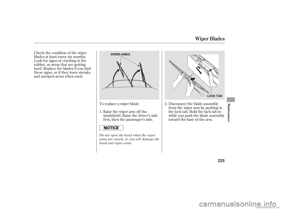 HONDA ACCORD SEDAN 2006  Owners Manual (in English) Check the condition of the wiper
blades at least every six months.
Look f or signs of cracking in the
rubber, or areas that are getting
hard. Replace the blades if you f ind
these signs, or if they le
