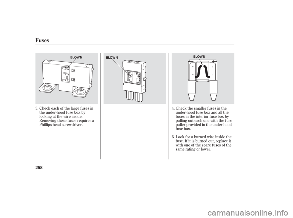 HONDA ACCORD SEDAN 2006  Owners Manual (in English) Check each of the large f uses in
the under-hood f use box by
looking at the wire inside.
Removing these f uses requires a
Phillips-head screwdriver.Check the smaller f uses in the
under-hood f use bo