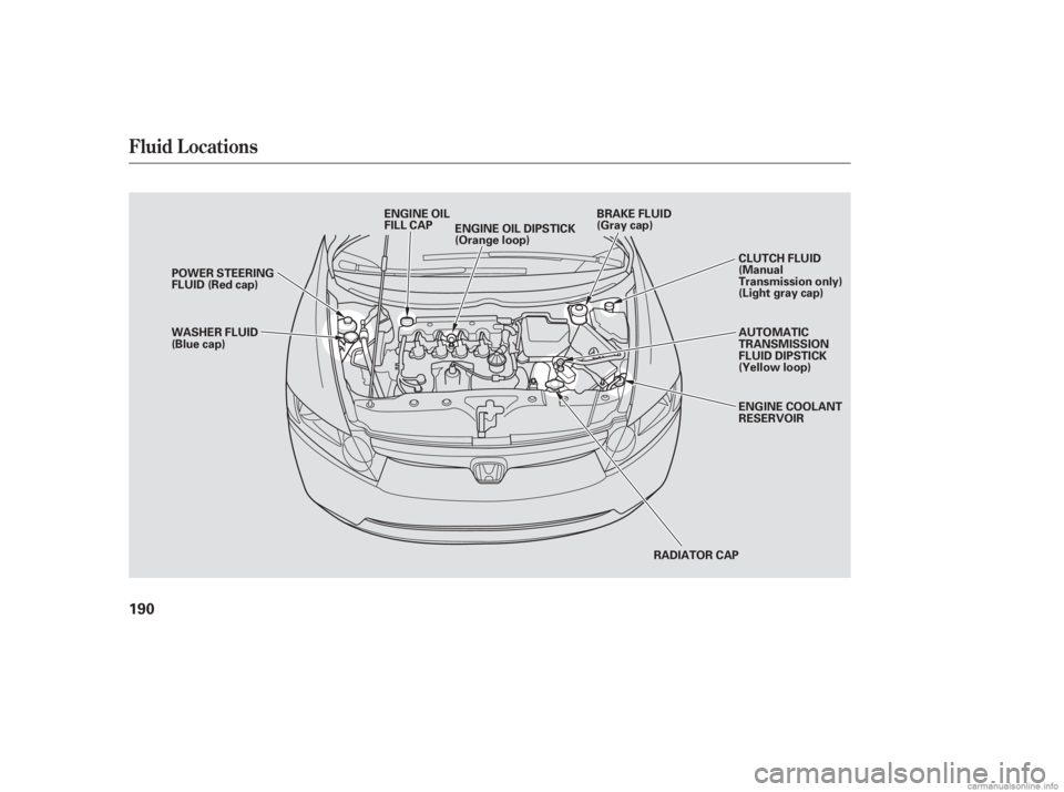 HONDA CIVIC SEDAN 2006  Owners Manual (in English) Fluid Locations
190
RADIATOR CAP
ENGINE OIL DIPSTICK
(Orange loop)
BRAKE FLUID
(Gray cap)
ENGINE OIL
FILL CAP
WASHER FLUID
(Blue cap) POWER STEERING
FLUID (Red cap) AUTOMATIC
TRANSMISSION
FLUID DIPSTI