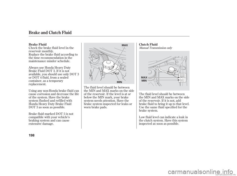HONDA CIVIC SEDAN 2006  Owners Manual (in English) Manual Transmission only
The f luid level should be between
theMINandMAXmarksontheside
of the reservoir. If it is not, add
brake f luid to bring it up to that level.
Use the same fluid specified for t