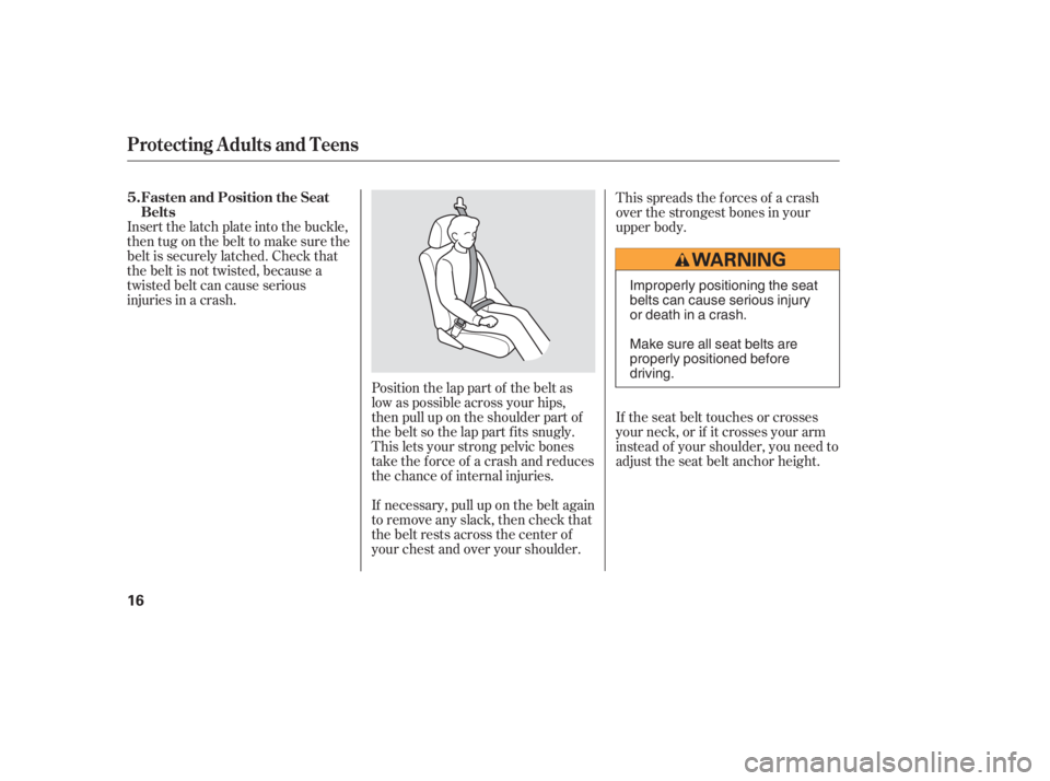 HONDA ACCORD SEDAN 2005   (in English) User Guide If the seat belt touches or crosses
your neck, or if it crosses your arm
instead of your shoulder, you need to
adjust the seat belt anchor height.
Insert the latch plate into the buckle,
then tug on t