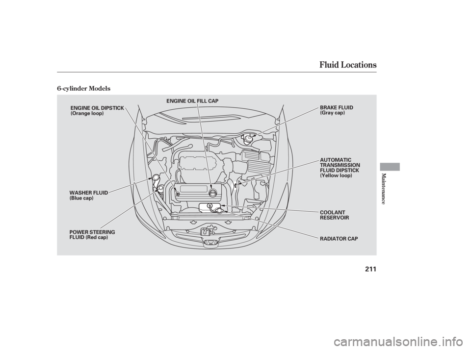 HONDA ACCORD SEDAN 2005 Owners Manual (in English) Fluid Locations
6-cylinder Models
Maint enance
211
ENGINE OIL FILL CAPBRAKE FLUID
(Gray cap)
AUTOMATIC
TRANSMISSION
FLUID DIPSTICK
(Yellow loop)
COOLANT
RESERVOIR
RADIATOR CAP
POWER STEERING
FLUID (Re HONDA ACCORD SEDAN 2005 Owners Manual (in English) Fluid Locations
6-cylinder Models
Maint enance
211
ENGINE OIL FILL CAPBRAKE FLUID
(Gray cap)
AUTOMATIC
TRANSMISSION
FLUID DIPSTICK
(Yellow loop)
COOLANT
RESERVOIR
RADIATOR CAP
POWER STEERING
FLUID (Re