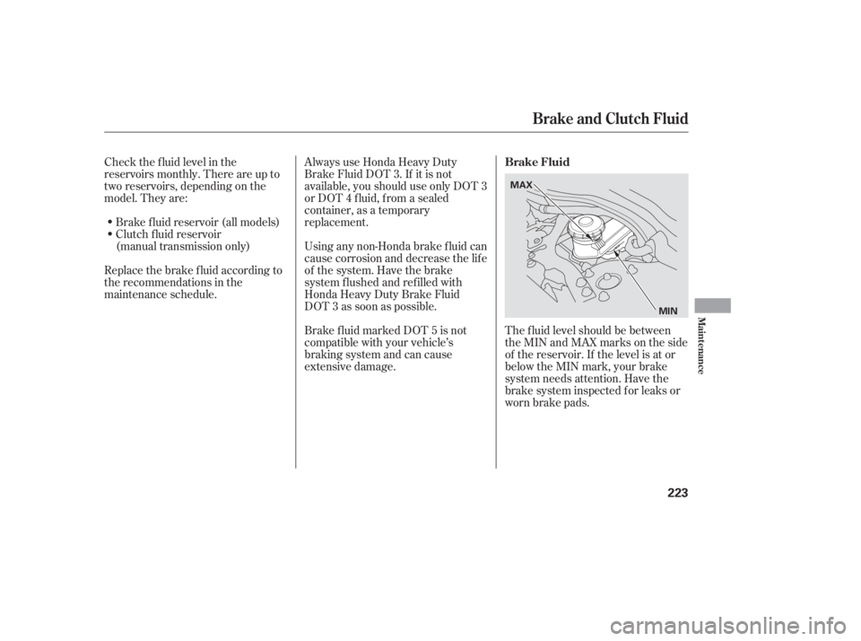 HONDA ACCORD SEDAN 2005  Owners Manual (in English) Check the f luid level in the
reservoirs monthly. There are up to
two reservoirs, depending on the
model. They are:Brake f luid reservoir (all models)
Clutch f luid reservoir
(manual transmission only