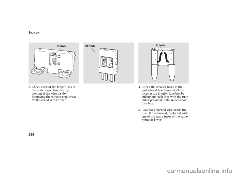 HONDA ACCORD SEDAN 2005  Owners Manual (in English) Check each of the large f uses in
the under-hood f use box by
looking at the wire inside.
Removing these f uses requires a
Phillips-head screwdriver.Check the smaller f uses in the
under-hood f use bo