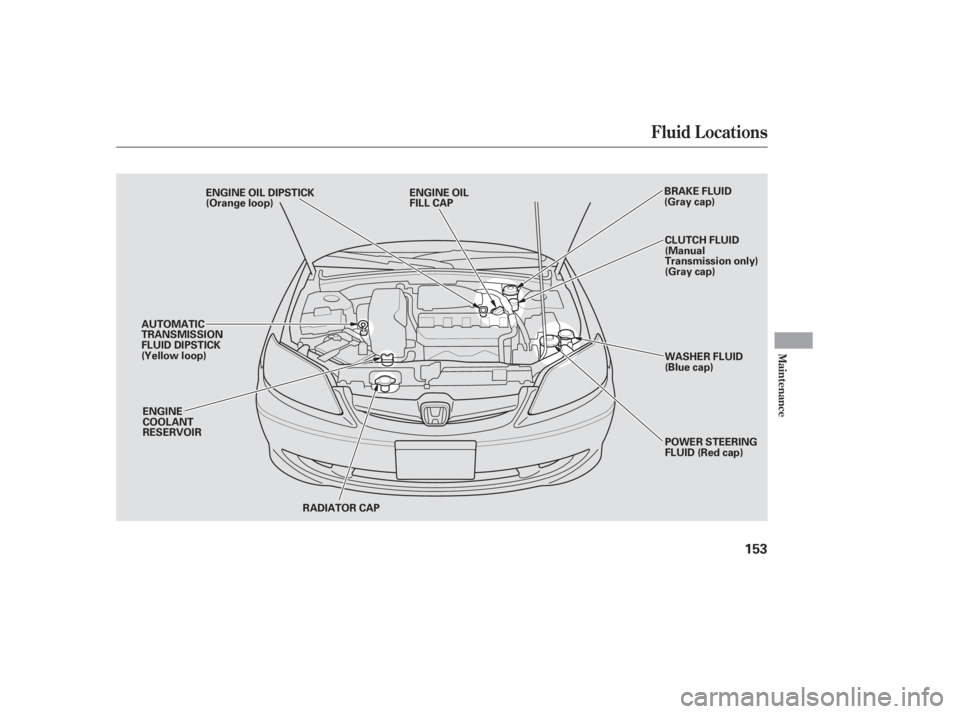 HONDA CIVIC SEDAN 2005  Owners Manual (in English) Fluid Locations
Maint enance
153
RADIATOR CAP
ENGINE
COOLANT
RESERVOIR ENGINE OIL DIPSTICK
(Orange loop)
BRAKE FLUID
(Gray cap)
ENGINE OIL
FILL CAP
CLUTCH FLUID
(Manual
Transmission only)
(Gray cap)
W