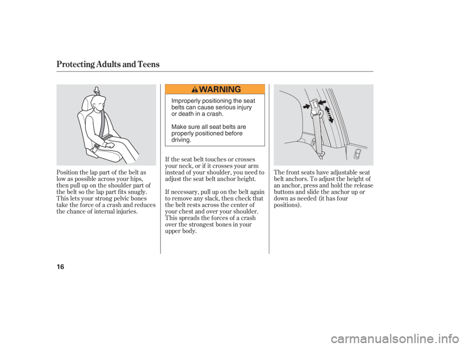 HONDA CIVIC SEDAN 2005   (in English) User Guide Position the lap part of the belt as
low as possible across your hips,
then pull up on the shoulder part of
the belt so the lap part f its snugly.
This lets your strong pelvic bones
take the force of 