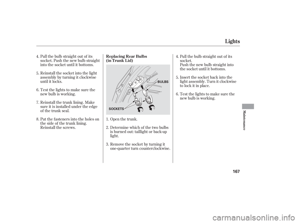 HONDA CIVIC SEDAN 2005  Owners Manual (in English) Pull the bulb straight out of its
socket. Push the new bulb straight
into the socket until it bottoms.Open the trunk.
Determine which of the two bulbs
is burned out: taillight or back-up
light.
Remove