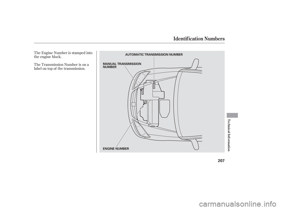 HONDA CIVIC SEDAN 2005  Owners Manual (in English) The Engine Number is stamped into
the engine block.
The Transmission Number is on a
label on top of the transmission.
Identif ication Numbers
T echnical Inf ormation
207
AUTOMATIC TRANSMISSION NUMBER

