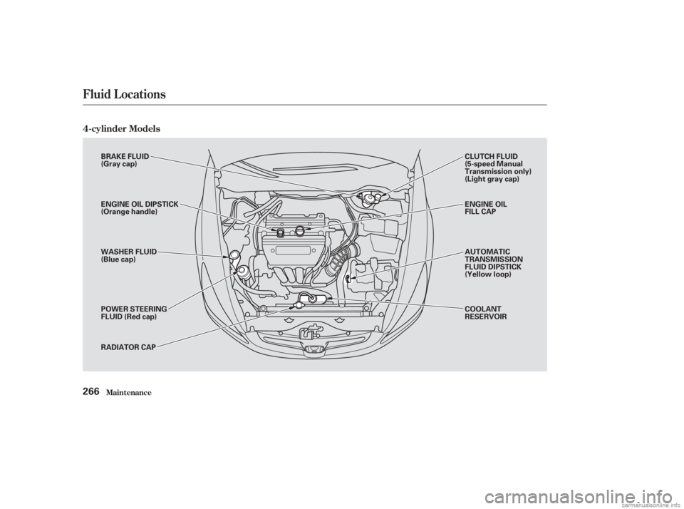 HONDA ACCORD SEDAN 2003  Owners Manual (in English) 4-cylinder Models
Maint enance
Fluid Locations
266
BRAKE FLUID
(Gray cap)
ENGINE OIL DIPSTICK
(Orange handle)
WASHER FLUID
(Blue cap)
POWER STEERING
FLUID (Red cap)
RADIATOR CAPCLUTCH FLUID
(5-speed M