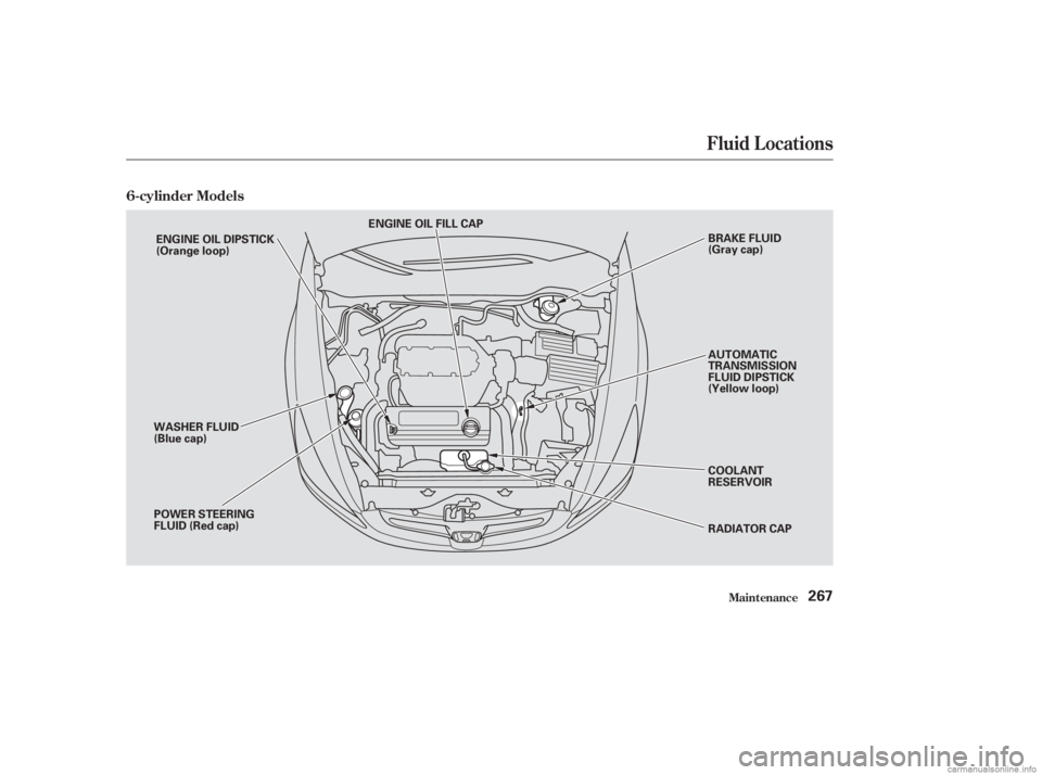 HONDA ACCORD SEDAN 2003  Owners Manual (in English) 6-cylinder Models
Fluid Locations
Maint enance267
ENGINE OIL FILL CAPBRAKE FLUID
(Gray cap)
AUTOMATIC
TRANSMISSION
FLUID DIPSTICK
(Yellow loop)
COOLANT
RESERVOIR
RADIATOR CAP
POWER STEERING
FLUID (Red