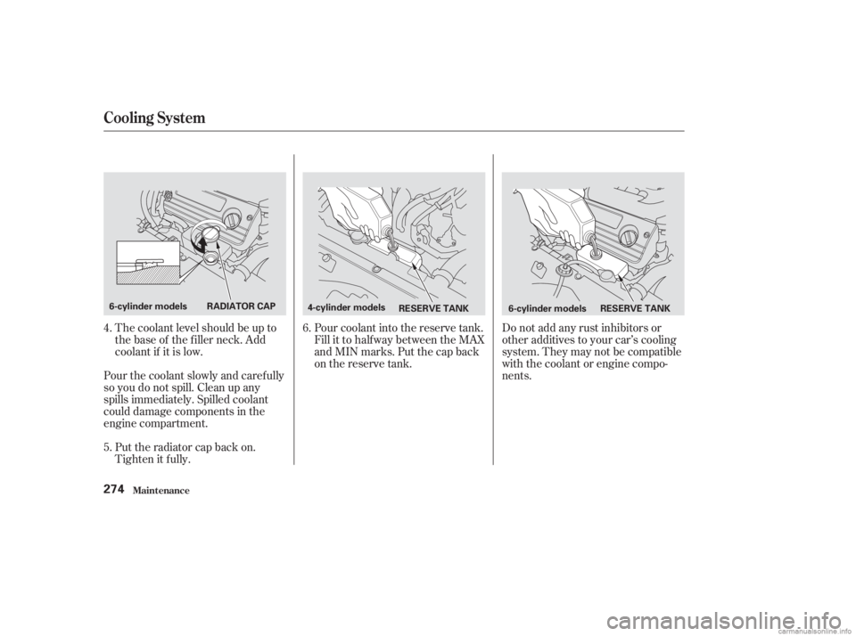 HONDA ACCORD SEDAN 2003 Owners Manual (in English) The coolant level should be up to
the base of the f iller neck. Add
coolant if it is low.
Pour the coolant slowly and caref ully
so you do not spill. Clean up any
spills immediately. Spilled coolant
c HONDA ACCORD SEDAN 2003 Owners Manual (in English) The coolant level should be up to
the base of the f iller neck. Add
coolant if it is low.
Pour the coolant slowly and caref ully
so you do not spill. Clean up any
spills immediately. Spilled coolant
c