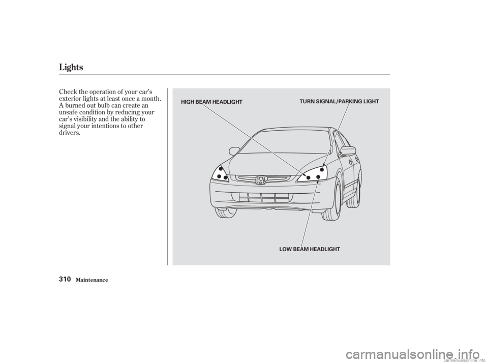 HONDA ACCORD SEDAN 2003  Owners Manual (in English) Check the operation of your car’s
exterior lights at least once a month.
A burned out bulb can create an
unsaf e condition by reducing your
car’s visibility and the ability to
signal your intentio