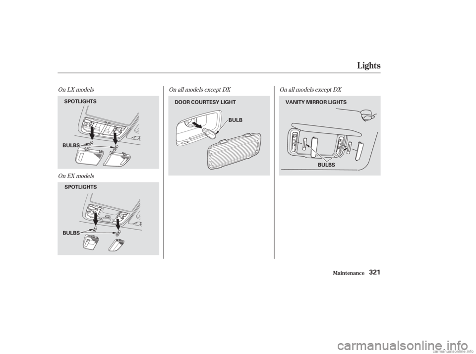 HONDA ACCORD SEDAN 2003  Owners Manual (in English) On all models except DXOn all models except DX
On LX models
On EX models
Lights
Maint enance321
BULBS BULB
BULBS
DOOR COURTESY LIGHT
SPOTLIGHTS
SPOTLIGHTS
VANITY MIRROR LIGHTS
BULBS 