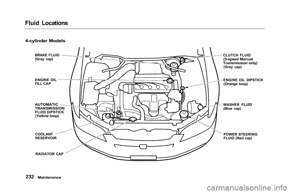 HONDA ACCORD SEDAN 2001  Owners Manual (in English) 
Fluid Locations

Maintenance

4-cylinder Models

BRAKE FLUID(Gray cap)
ENGINE OIL
FILL CAP

AUTOMATIC

TRANSMISSION
FLUID DIPSTICK
(Yellow loop)

COOLANT

RESERVOIR
 CLUTCH FLUID

(5-speed Manual

Tr