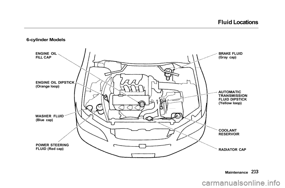 HONDA ACCORD SEDAN 2001  Owners Manual (in English) 
Fluid Locations

Maintenance

RADIATOR CAP
 COOLANT

RESERVOIR

AUTOMATIC

TRANSMISSION

FLUID DIPSTICK

(Yellow loop)

6-cylinder Models

ENGINE OILFILL CAP
ENGINE OIL DIPSTICK

(Orange loop)

WASHE