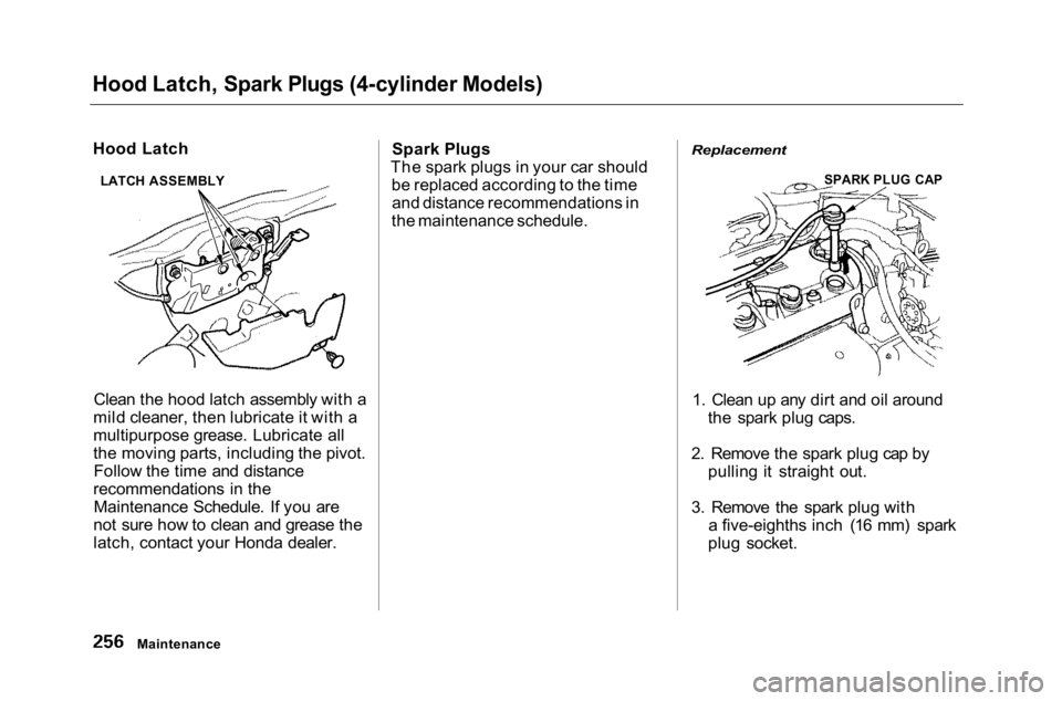 HONDA ACCORD SEDAN 2001 Owners Manual (in English)
Hood Latch, Spark Plugs (4-cylinder Models)
Hood Latch
Clean the hood latch assembly with a
mild cleaner, then lubricate it with a
multipurpose grease. Lubricate all
the moving parts, including the HONDA ACCORD SEDAN 2001 Owners Manual (in English)
Hood Latch, Spark Plugs (4-cylinder Models)
Hood Latch
Clean the hood latch assembly with a
mild cleaner, then lubricate it with a
multipurpose grease. Lubricate all
the moving parts, including the