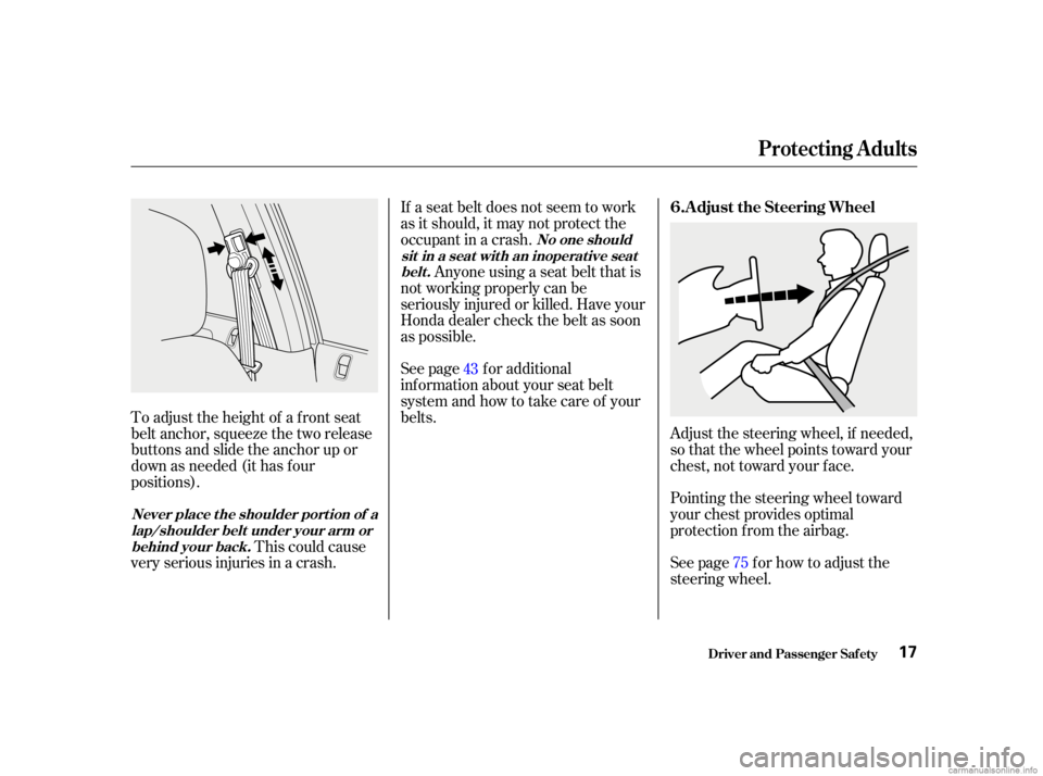 HONDA CIVIC SEDAN 2001 (in English) User Guide Adjust the steering wheel, if needed,
so that the wheel points toward your
chest, not toward your f ace.
Pointing the steering wheel toward
your chest provides optimal
protection f rom the airbag.
See HONDA CIVIC SEDAN 2001 (in English) User Guide Adjust the steering wheel, if needed,
so that the wheel points toward your
chest, not toward your f ace.
Pointing the steering wheel toward
your chest provides optimal
protection f rom the airbag.
See