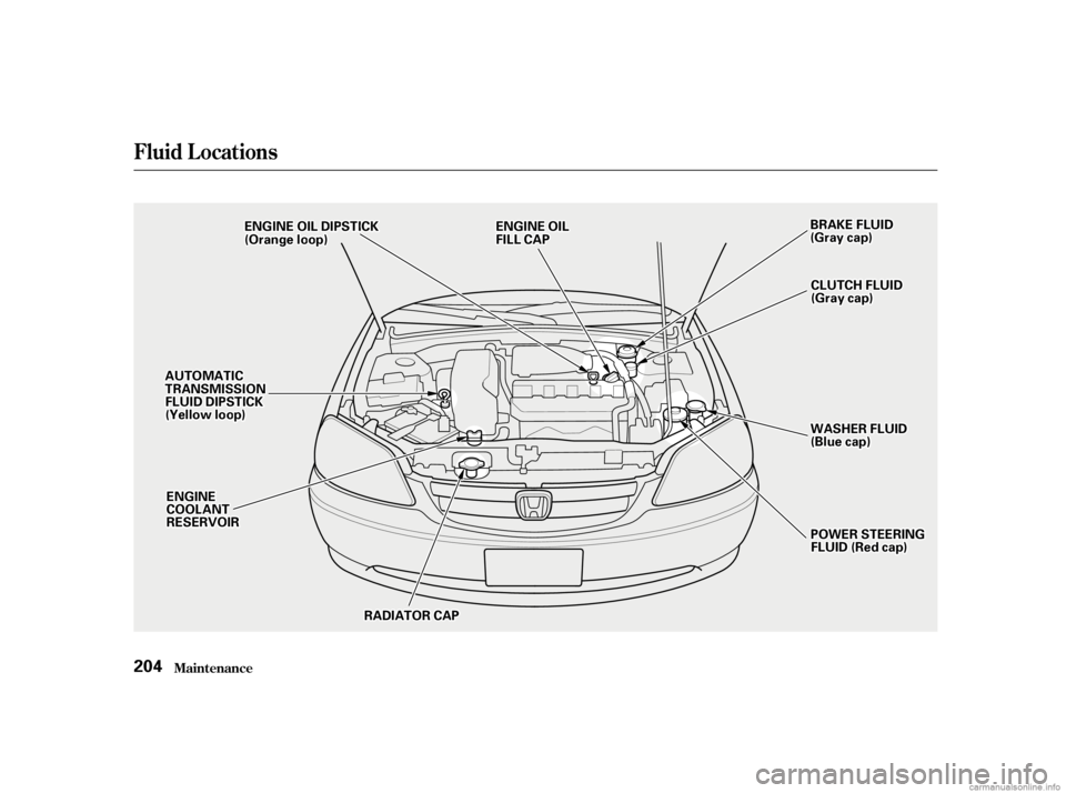HONDA CIVIC SEDAN 2001  Owners Manual (in English) Fluid Locations
Maint enance204
A
AU
UT TO
OM M A
AT
TI
ICC
T
T R
RA A N
NS SMM I
ISSS SIIOON N
F
FL LUUI IDD D
DI
IPP S
ST TI
ICCK K
(
( Y
Ye elllloo w
w l
loo o
op
p)
) B
BR
RAA K
KEE F
FLLUUI IDD
(