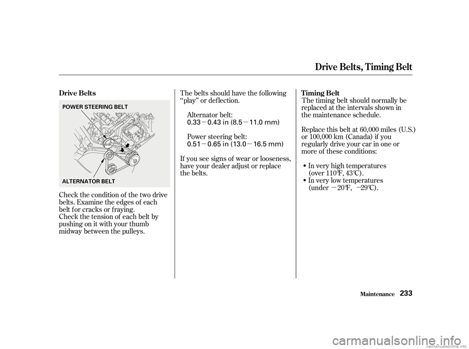 HONDA CIVIC SEDAN 2001   (in English) Owners Guide µµ
µµ µµ
Check the tension of each belt by
pushingonitwithyourthumb
midway between the pulleys. The belts should have the f ollowing
‘‘play’’ or def lection.
The timing belt should