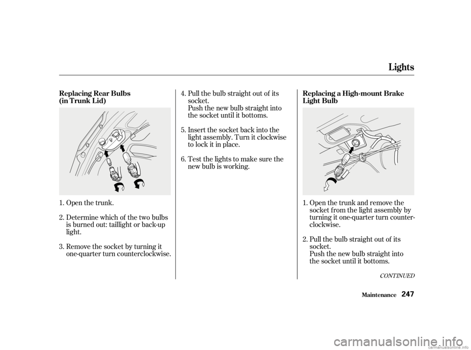 HONDA CIVIC SEDAN 2001  Owners Manual (in English) Open the trunk and remove the
socket f rom the light assembly by
turning it one-quarter turn counter-
clockwise.
Pull the bulb straight out of its
socket.
Push the new bulb straight into
the socket un